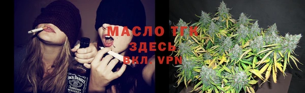 твердый Горняк