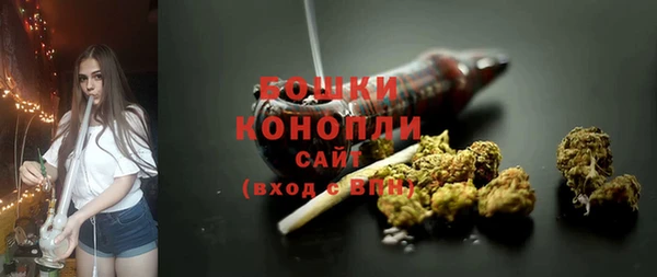 твердый Горняк