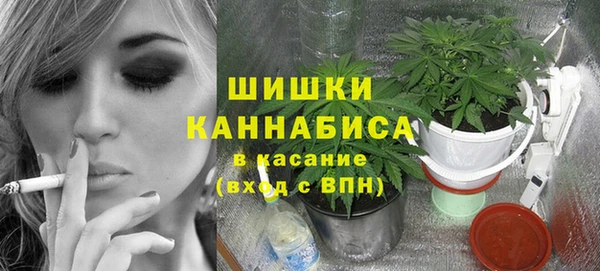 тгк Горнозаводск