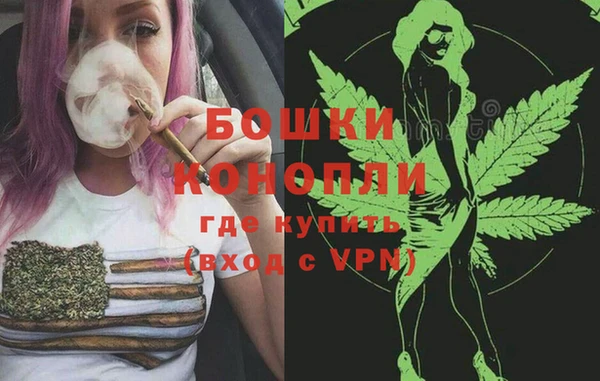 тгк Горнозаводск