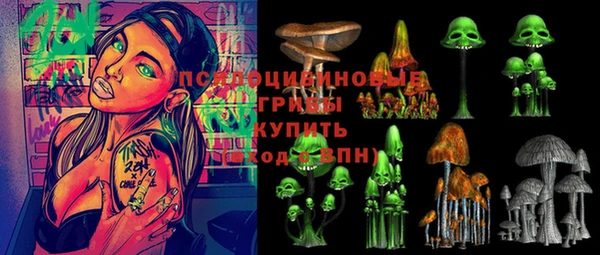 тгк Горнозаводск