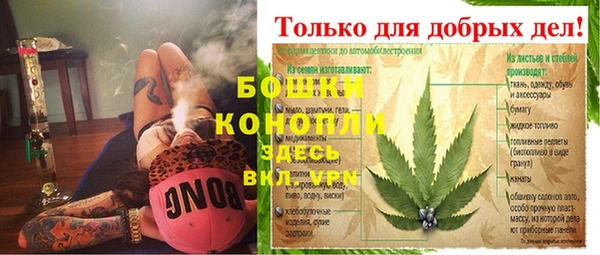 твердый Горняк