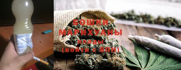 твердый Горняк